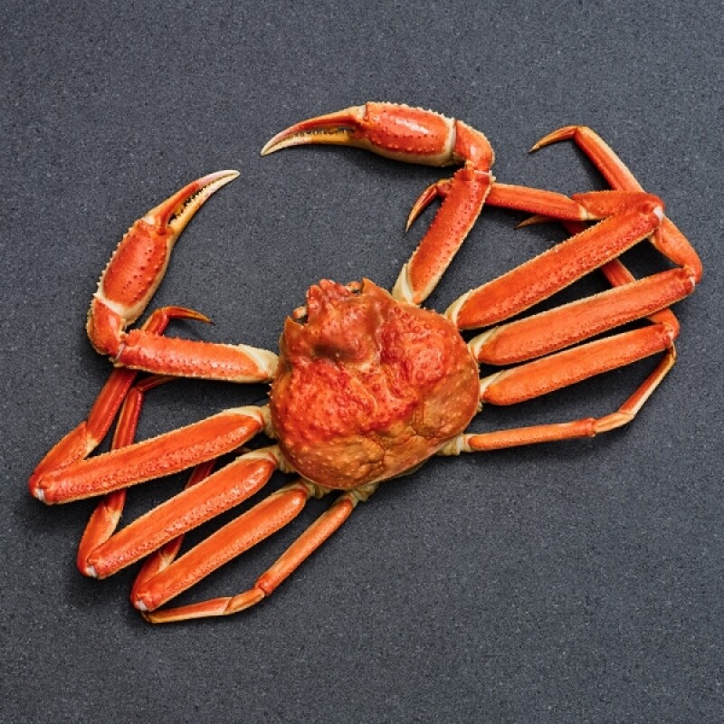 크랩이츠, 러시아대게, 자숙대게, 스노우크랩, 킹크랩, 섹션대게, 대게선어, 라이브대게, 활대게, 대게, 박달대게