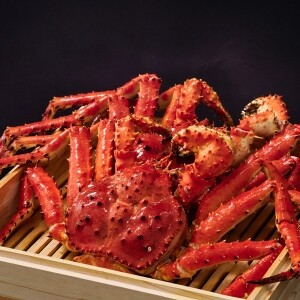 [크랩이츠] 자숙 러시아 킹크랩 BLUE 1미 (HACCP 시설 자숙)