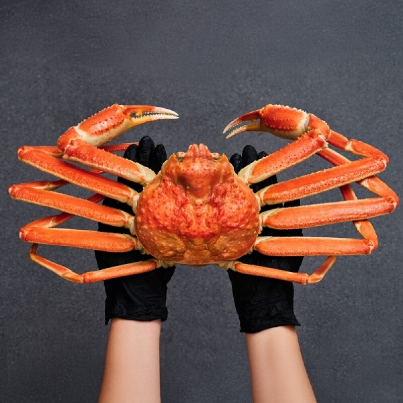 크랩이츠, 러시아대게, 자숙대게, 스노우크랩, 킹크랩, 섹션대게, 대게선어, 라이브대게, 활대게, 대게, 박달대게